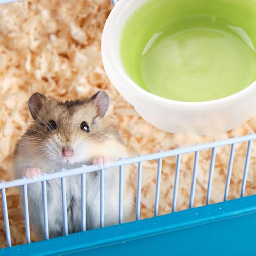 2 Pack Hermit Crab Food and Water Bowl Hamster Ceramic Bowl Anti-Turning Feeding Dish for Hamster Sugar Glider Hermit Crab (Random Color)