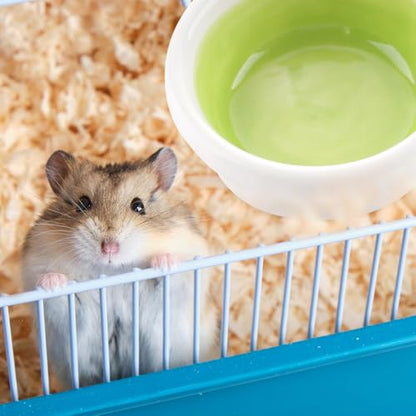2 Pack Hermit Crab Food and Water Bowl Hamster Ceramic Bowl Anti-Turning Feeding Dish for Hamster Sugar Glider Hermit Crab (Random Color)