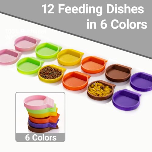 12-Pack Feeding Dish for Invertebrates – Feeder Bowls for Dubia Roaches, Isopods, Springtails, Superworms, Small Insects & More – Mini Bowls for Reptile Food & Supplements