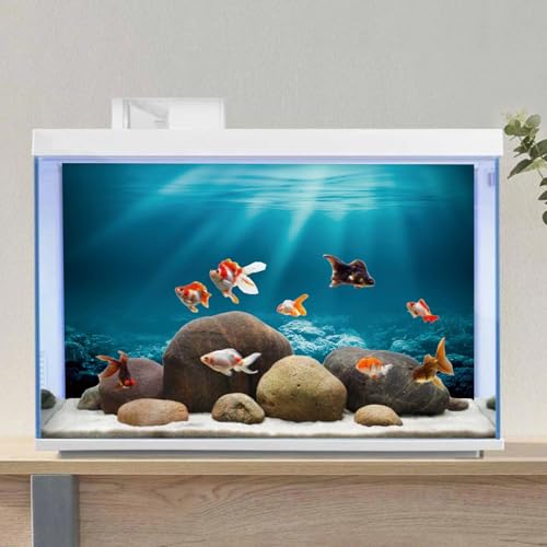 AWERT 30x18 inches Undersea Theme Aquarium Background Sunshine Underwater World Fish Tank Background Durable Polyester Background - size: 30x18in/75x45cm