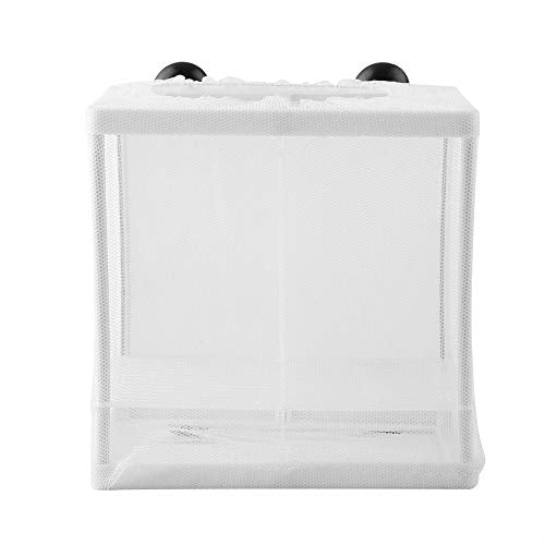 GLOGLOW Nan Aquarium Breeder, Quality Plastic Isolation Mesh Box, Easy Installation Fish Breeding Net 16x16x14cm for Fish Breeding and Sample Division Aquaculture Hatching Supplies
