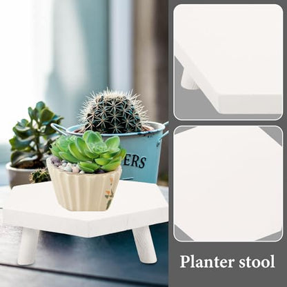 LIOOBO Wooden Plant Display Rack Sturdy Potted Planter Stand Natural Wood Flowerpot Stool for Indoor Outdoor Bonsai Showcase and Small Fish Tank Holder