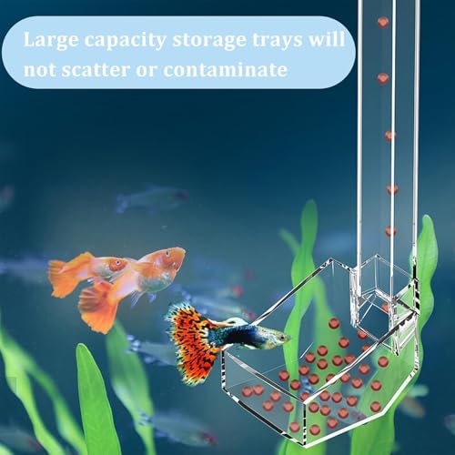 Aquatic Fish Feeding Disk - Glass Shrimp Feeder Tube Set, Clear Suction Cup Feeder Tray, Tank Feeding Station | Aquarium Care Tool for Pets | Easy Feed Solution for Shrimp Fish Snails
