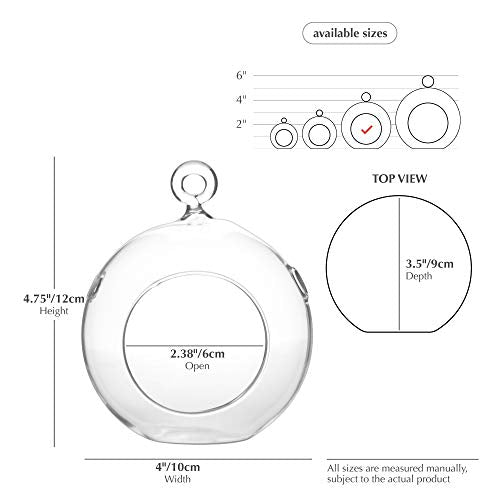 WGV Hanging Terrarium Globe, Width 4", Height 4.75", DIY Air Succulent Planter, Clear Glass Vase Orb with Flat Bottom, Candle Holder for Windowsill Outdoor Garden Decor, 6 Pieces Bulk - size: 4" Flat Bottom