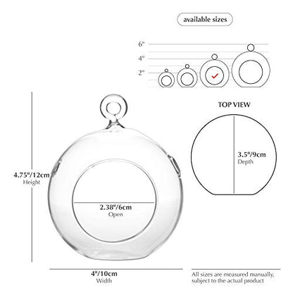 WGV Hanging Terrarium Globe, Width 4", Height 4.75", DIY Air Succulent Planter, Clear Glass Vase Orb with Flat Bottom, Candle Holder for Windowsill Outdoor Garden Decor, 6 Pieces Bulk - size: 4" Flat Bottom