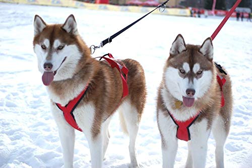 Neewa Pro Sled Dog Harness (Red, Large) - size: Large (Neck 18 Chest 32 Back 21)