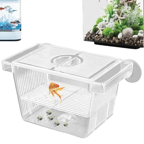 Fish Breeding Box, Transparent Insulation Breeder Box for Fish Tank, Detachable Plastic for Babies Shrimp (5x3x3 inch)