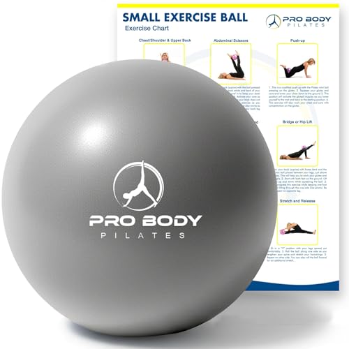 ProBody Pilates Ball Small — 9 Inch Small Exercise Ball | Anti-Burst PVC, Latex-Free, Clinic Grade, Between-Knees Stabilizer, Postpartum & Rehab, Straw Inflator, Yoga Ball Small - color: Silver
