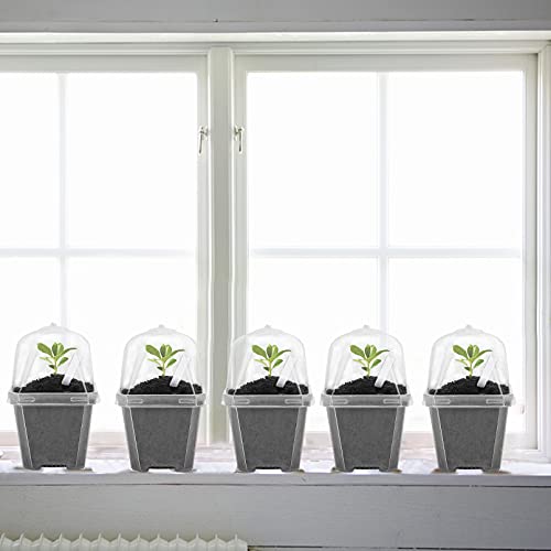 10PCS Clear Plant Nursery Pots with Humidity Dome - 3" Plastic Gardening Pot with Labels, Durable Plastic Plant Container for Seedlings/Vegetables/Succulents/Cuttings