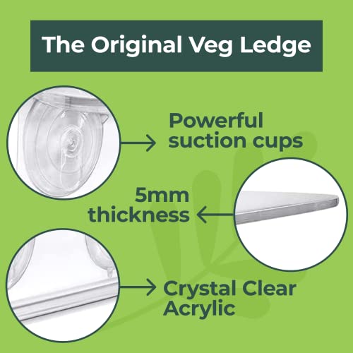 Window Garden Veg Ledge - Window Shelf for Plants, Clear Acrylic Shelves - Suction Cup Indoor Plant Holder - Glass Window Sill Extender for Microgreens Kit, Seed Starter Pots, Planters (1 Pack) - size: 1 Medium (Original)
