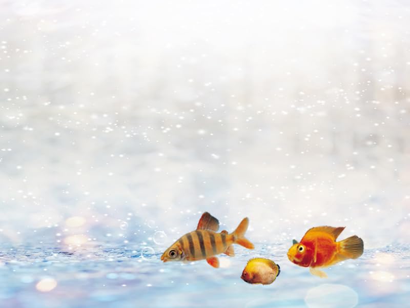 48x24IN Winter Silver White Bokeh Aquarium Background, Golden Spots Sparkle Fish Tank Decorations, Christmas Art Terrarium Background