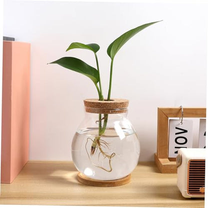 Desktop Glass Fish Bowl with Cushion Hydroponic Terrarium for Betta Fish and Plants Aquarium with Mat for Decor
