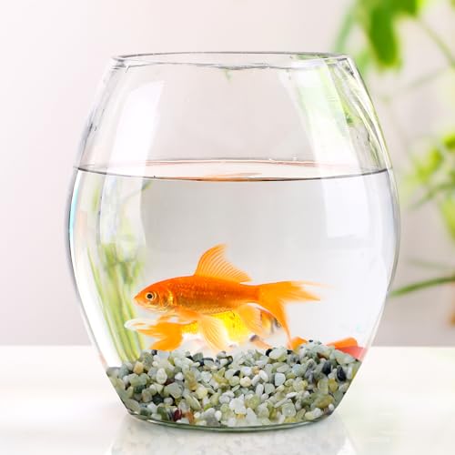 3.5/10.5 OZ Natural Aquarium Gravel River Rocks, 0.2-0.8 Inch Polished Jade Bean Pebbles, Smooth Decorative Stones for Fish Tank, Aquarium Plants, Garden Landscaping (Nature,3.5)