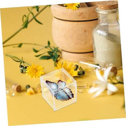 Homoyoyo 12pcs Mineral Specimen Display Case Plastic Box Dividers Mini Storage Container Food-Grade Easy Viewing Design