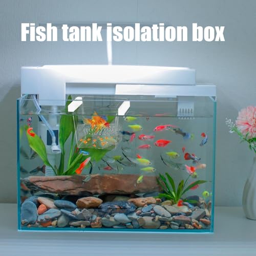 Fish Hatching Container - Floating Fish Breeder Box for Aquarium, Isolation & Hatchery Tank | Fish Nursery Box, Divider Incubator Container for Betta Fry Guppy Angelfish Acclimation & Feeding - color: Square