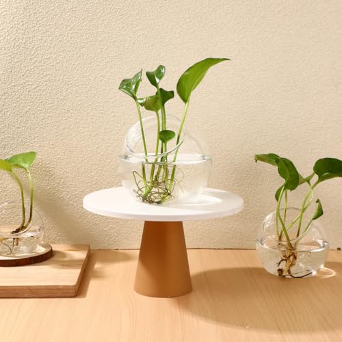 ibasenice 3Pcs Glass Terrarium Bowls Air Plant Holders Hydroponic Planters Small Round Vases for Home Office Desktop Display