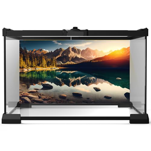 Mountain Lake Aquarium Background Summer Sunrise Tranquil Lake Mountain Range Fish Tank Background Sunset Stream Reptile Tank Backgrounds Pine Trees Rock Formation Enclosure Backgrounds 48x24in