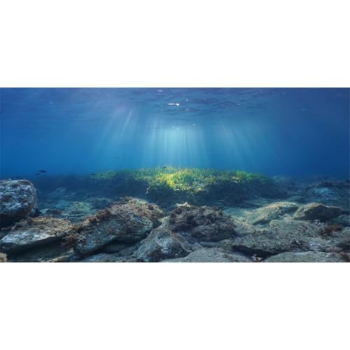 AWERT Ocean Floor Fish Tank Background Underwater Stone Aquarium Background 30x18 inches Vinyl - size: 30x18in/75x45cm