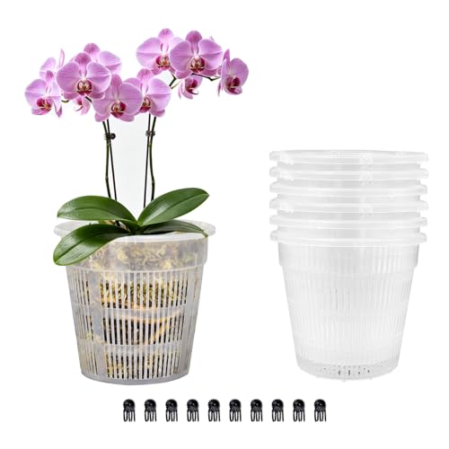 Orchid Pot, 6 Pack Orchid Pots with Holes, 5.5" Clear Orchid Pots for Repotting, Breathable Slotted Orchids Planter - color: 6pcs 5.5in