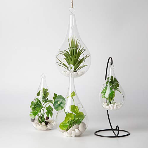 WGV Glass Hanging Plant Terrarium Bulk, Width 3", Height 5.5", Teardrop DIY Air Succulent Planter Clear Tea Light Votive Candle Holder, Wedding Event Office Home Outdoor Decor, 6 Pieces