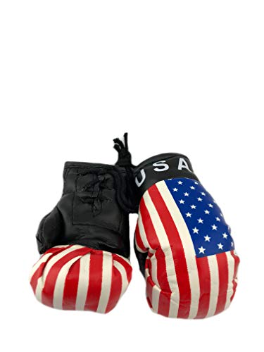 Hanging Car Mirror Mini Boxing Gloves (USA) - color: USA