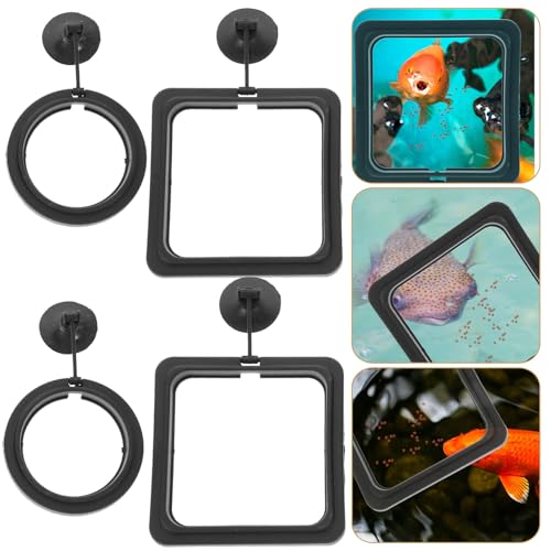 4pcs Fish Feeding Rings Floating Fish Tank Feeders Reusable Black Plastic Aquarium Accessories for Tropical and Betta Feeding