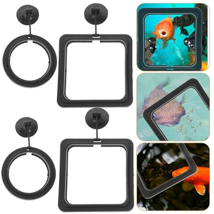 4pcs Fish Feeding Rings Floating Fish Tank Feeders Reusable Black Plastic Aquarium Accessories for Tropical and Betta Feeding