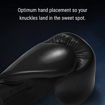 Hayabusa Pro Leather Hook and Loop Boxing Gloves for Men and Women - color: Black, size: 14oz