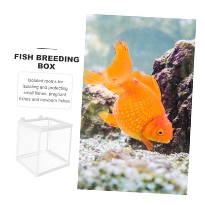 BESPORTBLE Breeding Incubator Box Mesh Fish Tank Breeding Tank Box for Betta Guppy Practical Aquarium