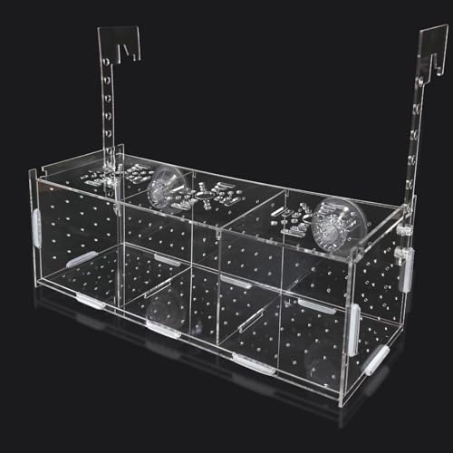 Acrylic Fish Breeding Box，Guppy breeding Box Acrylic Fish Isolation Box Aquarium Incubator with Suction Cups for Guppy Shrimp Small Baby Fishes（3.9 x 3.9 x11.8 in） - size: L(3.9 * 3.9 * 11.8in)