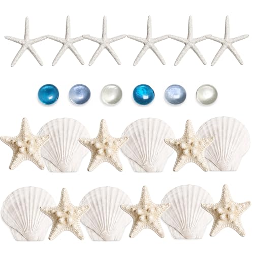 24 Pcs Starfish and Scallop Shells with Sea Glass, 3"-4" Large Natural Sea Shells for Crafts and Decorating, Seashell Decor for Beach Party, Wedding, Vase Filler, Christmas, Coastal Home DIY
