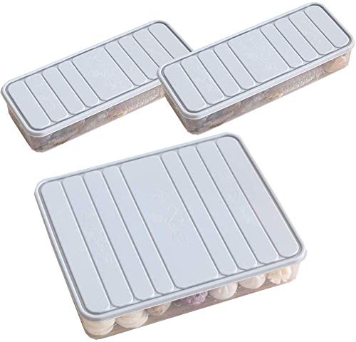 Square Refrigerator Storage Box Kitchen Household Plastic Food Sealed Frozen Fish And Shrimp Sliced Vegetable Box Refrigerator Storage & Finishing Box-Gris