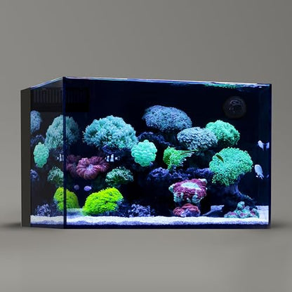 60P 26.23 Gallon Ultra Clear All Glass Rimless Low Iron Aquarium Tank with Rear Filtration Chamber for Salt and Fresh (Return Pump Included) 23.6Wx17.7Dx15.8H in(60x45x40cm) 8mm Thickness