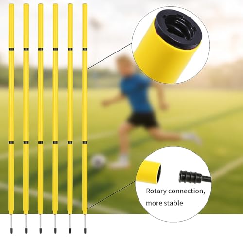 Soccer Agility Training Equipment, 6 Adjustable Soccer Training Agility Poles, 1 Speed Agility Ladder,10 Soccer Agility Cones for Training, 1 Jump Rope + Storage Bag for Youth Soccer Drills