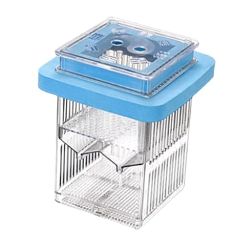Gupy Breeder Box Acclimation Case Reconcilable Aquarium Delivers Fishing Tank Parts Fish Tank Breeder for Home Use, Blue - color: Blue