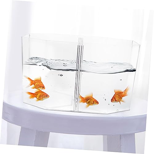 Toddmomy Betta Fish Breeding Box Clear Design Dual Room Isolation Tank for Small Fish and Shrimp Easy to Clean Incubation Box for