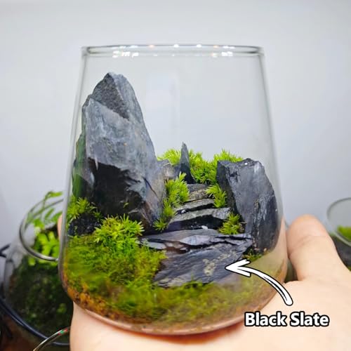 Natural Rocks Slate Stone 1-2.5 Inches Decorative Stones for Miniature Landscaping,Fairy Gardens,Bonsai,DIY Crafts,Aquariums & Reptile Terrariums-1lb