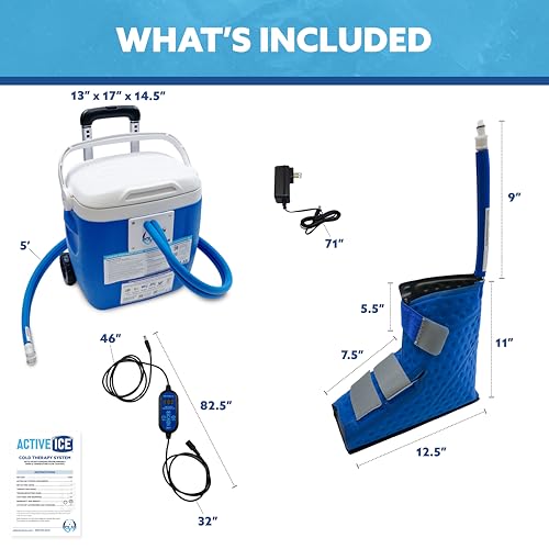 Polar Active Ice 3.0 Cold Therapy Ice Machine System with Programmable Timer, Foot and Ankle Therapy Pad, Lightweight 16 Quart Cooler, Quiet Pump, Strong Cryotherapy Pain Relief and Treatment - style: Foot & Ankle Pad