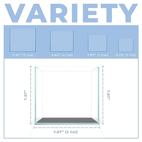 2 Gallon Clear Glass Cube Rimless Tank - Space Saving Aquarium - 7.87 x 7.87 x 7.87 inches