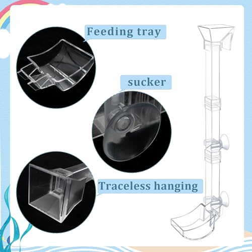 Aquarium Fish Shrimp Feeding Dish Set Clear Fish Feeder Tube and Dish with Cleaning Brush and Measuring Spoon for Feeding Shrimp and Preventing Food Scattering Feeding Supplies for Shrimp Large