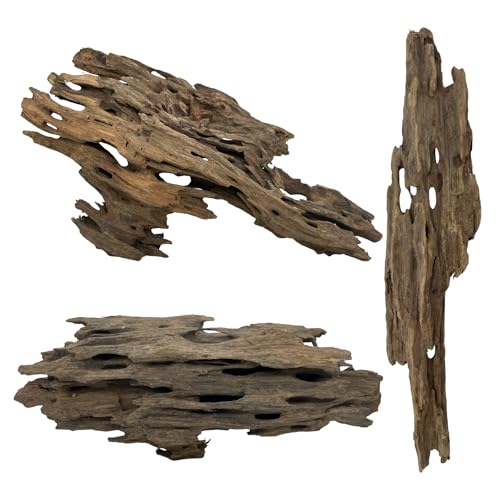 3 Pcs Natural Honeycomb Wood 8-12", Porous Aquarium Driftwood, Cholla Wood Shrimp Shelter Breeding Cave, Shrimp Dragon Wood for Fish Tank, Aquascaping, Reptile, Terrarium Decor - color: Shrimp Wood 8-12in(3PCS)