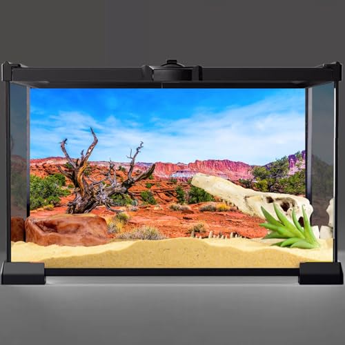 AWERT 24x16 inches Reptile Habitat Background Blue Sky Oasis Orange Desert Terrarium Background - size: 24x16in/60x40cm
