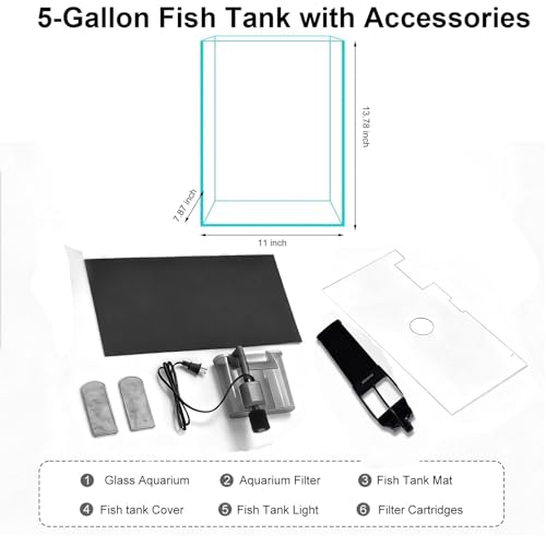 5 Gallon Glass Fish Tank with Filter and Light, Small Betta Aquariums Starter Kit. - size: 5 Gallon