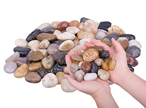 2.0 lb Mixed Color River Rock Stones 1~1.5", Natural Decorative Highly Polished Pebbles, Indoor Decorative Stones for Plant, Aquariums, Landscaping, Garden Flower Bed, Vase Fillers