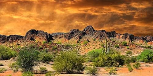 YongFoto Polyester Mexican Desert Sand Land Photography Background Desert View Cactus Green Bush Shrub Rocky Photo Backdrop 48x18 inches Dragon Tank Reptile Habitat Background Poster - color: Yellow-3, size: 48x18 IN