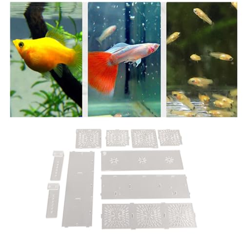 Fish Breeding Box, Fish Breeding Isolation Box Breeder Isolation Divider Hatching Box Acrylic Transparent Aquarium Hatchery Incubator Holder