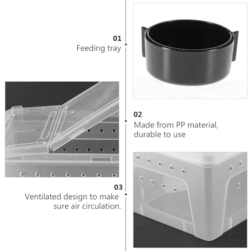 POPETPOP Reptile Breeding Box Plastic Spider Enclosure : Reptile Feeding Box Spider Terrarium - Transparent Hatching Container for Lizard Gecko, 25.8X15.1X11cm