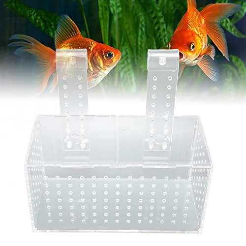 Fish Breeding Isolation Box, Acrylic Aquarium Hatchery 17x9x10cm, Transparent with Hook Installation - Easy Observation, Secure Lid Design, Suitable for Small Fish Tank (23 * 11 * 12CM) - size: 23*11*12CM