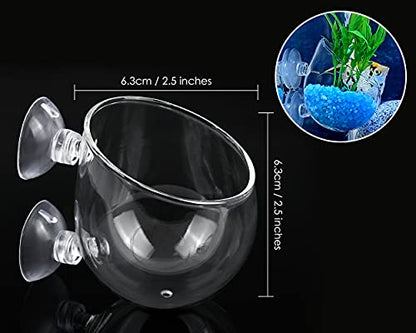 Aquatic Plant Cups 2 Pieces Crystal Glass Plant Pot with 2 Suction Cups for Aquarium Decoration