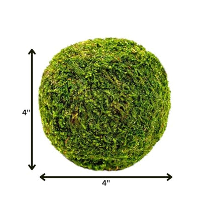 SuperMoss (21648) Moss Ball, Fresh Green, 4" - color: Fresh Green, size: 4"